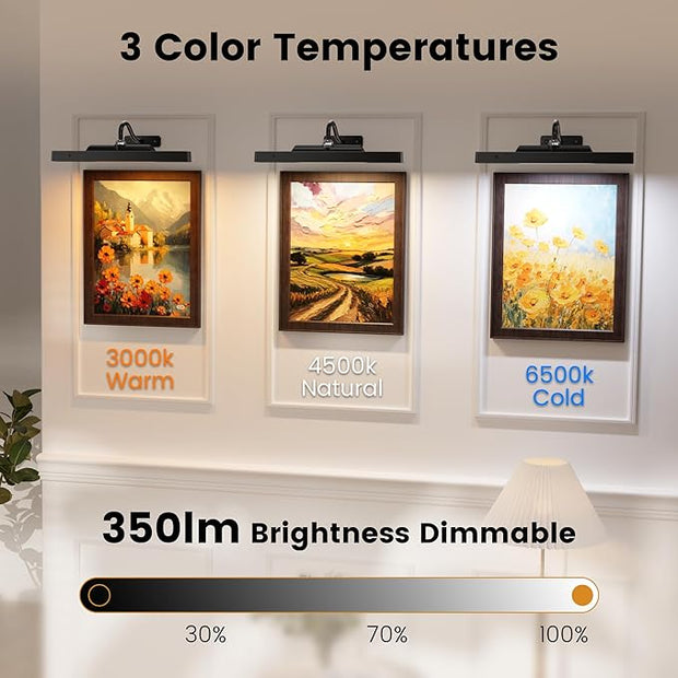 Art Frame Picture Light 4Pack, 12" Wireless Battery Operated Gallery Lighting, Remote Control Timer 3 Color Temps for Bedroom Museum (Black)