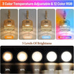 Battery Operated Wall Sconce Set of Two, Rattan Wall Sconces with Remote RGB 15 Colors Dimmable, Farmhouse Boho Wall Lights for Bedroom Living Room Entryway