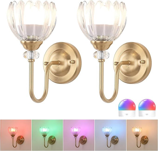 Set of 2 Vintage Battery Operated Wall Sconce, Rechargeable Wall Lamp with 5000mAh Battery & Remote Control, Dimmable Wall Lights with tulip shade for Bedroom Living Room(Tulip Transparent Up)