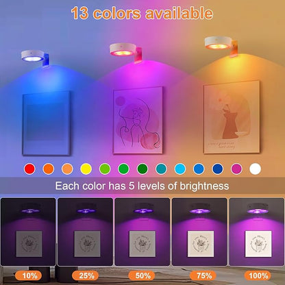 3Pcs Rechargeable Battery Picture Light,13 RGB Color Magnetic Wall Lights for Pictures with Remote Dimmable and Timer, Art Display Light for Paintings Battery Operated-RGB White
