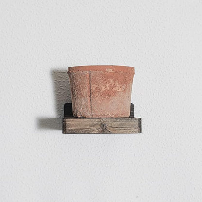 Freezing point Small Floating Shelf for Wall Set of 4 Natural Wood 4Inch Mini Wall Shelves Decor Plant Display Collectibles Mounted Kitchen Bathroom Bedroom Corner Decorative Storage Tiny Stand Brown