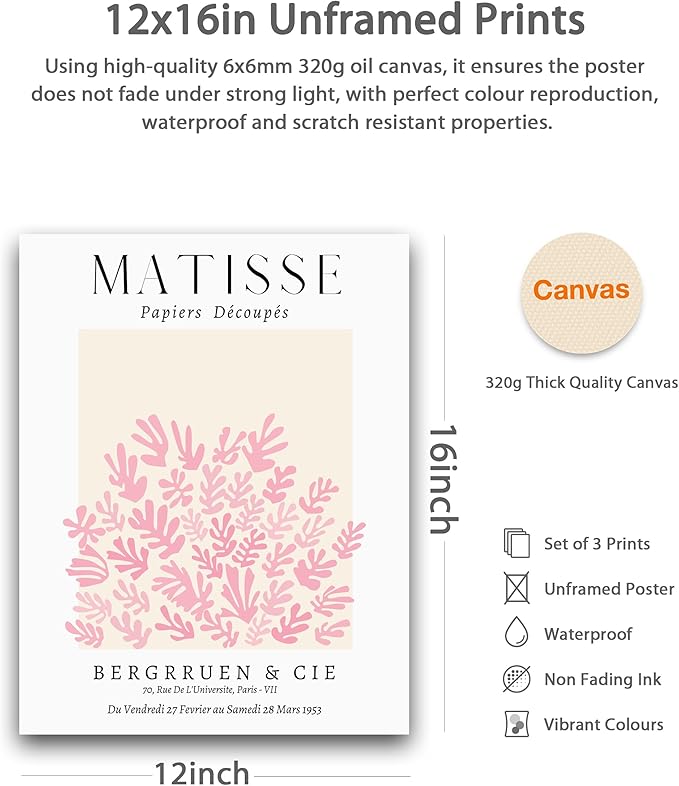 HesenDot Unframed Matisse Pink Wall Art,12x16in Canvas Prints Poster,Set of 3 Modern Abstract Wall Decor Posters,Minimalist Home Decoration for Living Room Bedroom Office