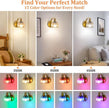 VerRon Rechargeable Battery Operated Wall Sconce with Amber Glass Lampshade, Wireless Wall Scone Decor with Remote Control, 15 Colors Gold Wall Light for Bedside Hallway Bedroom Doorway