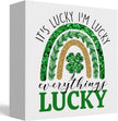 It's Lucky I'm Lucky Everything Lucky Funny St Patricks Day Shamrock Decor Desk Decor Wooden Box Sign St Patricks Day Decorations Irish Blessing Wood Block Plaque Box Sign for Home Decoration