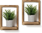 2 Pack Wooden Framed Shelves with Fake Plants for Home Wall Decor, Modern Farmhouse Wood Wall Art for Living Room, Bedroom, Bathroom