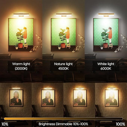 2Pcs Picture Light for Wall Dimmable,Remote Painting Light with Timer,Art Display Lighting with 3 Color, Battery Operated Led Accent Lights for Poster Frame Gallery Portrait Artwork-Gold