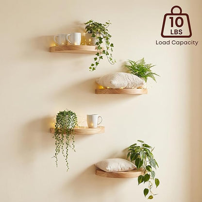 Small Wood Floating Shelves (4-Pack, 6-inch Diameter) - Round Sturdy Invisible Wall Mount Display for Small Plants,Toys,Bathroom,Living Room Storage & Modern Rustic Décor (Carbonized Brown)