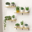Marsmiles Extra Wide Floating Shelves for Wall, 36x8 Inch Natural Wood Grain Bookshelves, Heavy Duty Mounted Shelving for Bathroom, Kitchen, Living Room, Bedroom,Set of 2，Oak