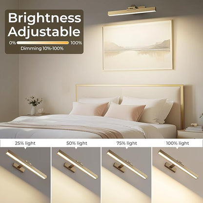 Picture Lights for Wall, Brass Battery Operated Picture Light 16in Art Light CCT Dimmable Recharging Battery Wall Light with Remote Control for Living Room Gallery