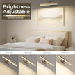 Picture Lights for Wall, Brass Battery Operated Picture Light 16in Art Light CCT Dimmable Recharging Battery Wall Light with Remote Control for Living Room Gallery