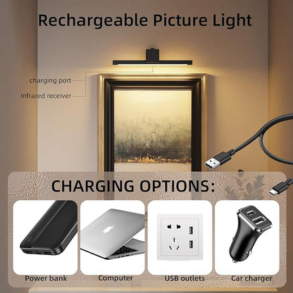 Picture Lights for Wall,Battery Operated Art Light,12in Gallery Light for Paintings,3CCT Dimmable,Metal Finish Recharging Battery Wall Light with Remote Control for Pictures Display(Black)