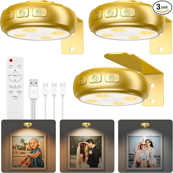 3 Pack Picture Light for Wall with 1200mAh Rechargeable Battery Operated Lights Remote Dimmable Timer Painting Light Magnetic 3 Adjustable Lighting RGB Modes Wall Decor Lights for Living(Gold)