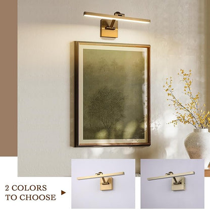 Modern Dimmable Picture Lights for Wall 15.75 Inch Hard-Wired LED Picture Frame Lights for Paintings Gallery Light with Adjustable Swing Arm Display Lights For Artwork, 7W, 2700K, Warm White - Brass