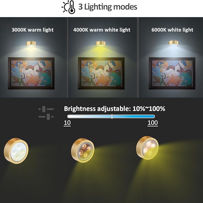 MIOBLUE 3Pack Picture Light Battery Operated Painting Lights, Wireless Magnetic Display Art Light with Remote Controls,Dimmable Timer Portrait Light for Art Frame Artworking,Wall Decor Puck Light