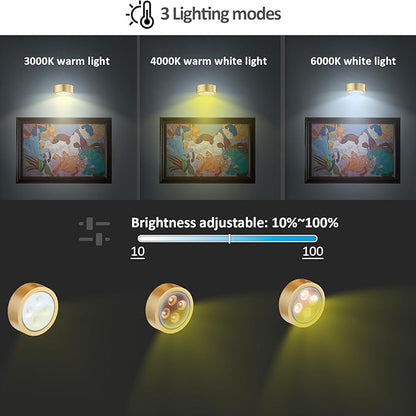 MIOBLUE 3Pack Picture Light Battery Operated Painting Lights, Wireless Magnetic Display Art Light with Remote Controls,Dimmable Timer Portrait Light for Art Frame Artworking,Wall Decor Puck Light
