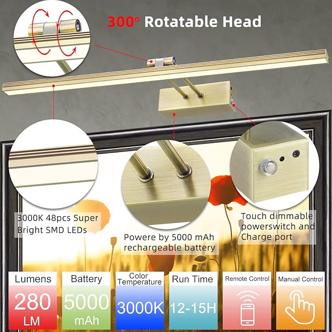 FUNCHDAY Picture Light,Battery Art Lights for Wall,Wireless Remote Painting Light with Timer and Dimmable,20”Metal Display Lighting for Artwork,Portrait,Gallery-Antique Brass