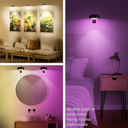2 Pack Black Picture Lights for Wall Battery Operated, 12 RGB Color Changing LED Wall Art Light, Magnetic Painting Light with Remote Control, Art Gallery Lights Photo Sconce for Art Display