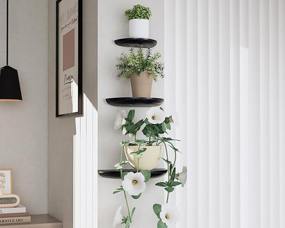 Solid Wood Half Round Floating Wall Shelves | Elegant Floating Shelves, Elevate Your Space. Perfect for Living Rooms, Bathrooms, Bedrooms, Offices, Children's Rooms Black