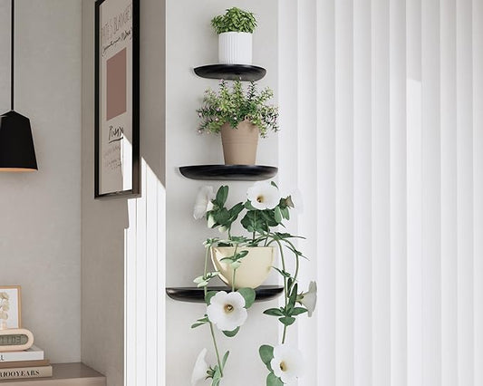 Solid Wood Half Round Floating Wall Shelves | Elegant Floating Shelves, Elevate Your Space. Perfect for Living Rooms, Bathrooms, Bedrooms, Offices, Children's Rooms Black