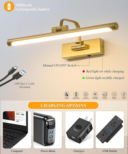 Wireless Picture Light for Wall, Rechargeable Light for Pictures with Remote & Timer, 16 Inch Dimmable Gold Art Light for Paintings, Battery Operated LED Wall Light with 3CCT for Gallery