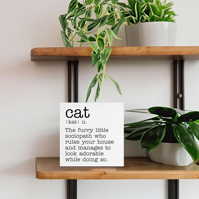 Cat Definition Decor Sign, Cat Lover Gifts for Women Men, Home Office Tabletop Shelf Decoration 5 x 5 Inches