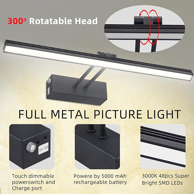 FUNCHDAY Picture Light,Battery Art Lights for Wall,Wireless Remote Painting Light with Timer and Dimmable,13”Metal Display Lighting for Artwork,Portrait,Gallery-Black