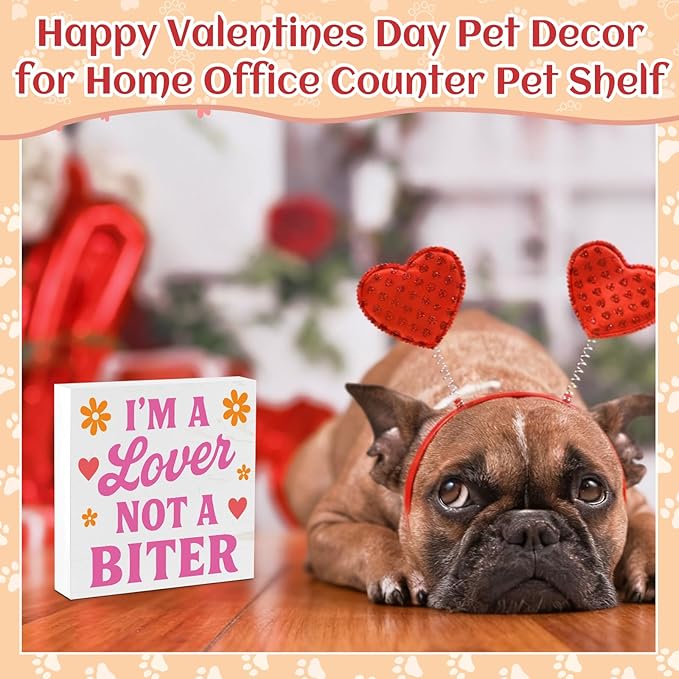 Valentines Cat Dog Desk Decor, Valentine's Day Gifts for Cats Dogs Lover Pet Parent, Valentine Home Office Table Sign Decoration for Shelf Tiered Tray, A Lover Not A Biter