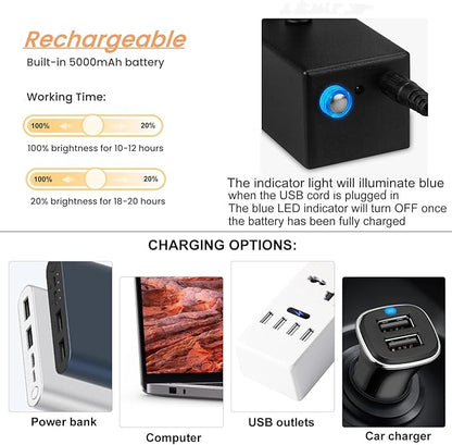 FUNCHDAY Picture Light Rechargeable, Wireless Picture Lights for Wall with Remote, 280LM Dimmable Timer Set Gallery Light, 13inch Metal Battery Operated Art Lighting for Paintings,Frame (Black)