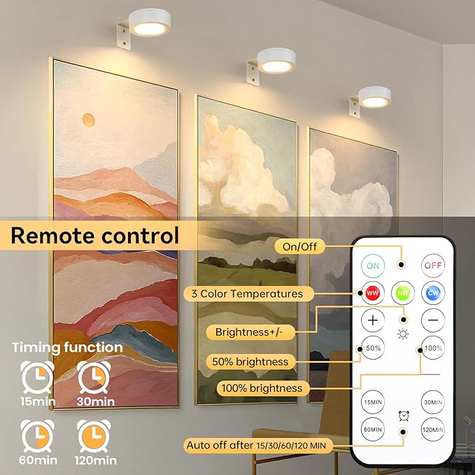 2-Pack Picture Light Battery Operated, LED Painting Lights with Remote, Dimmable and Timer Painting Light, Art Display Light for Picture Frame Artworking Portrait, Home Wall Decor wall lights, White