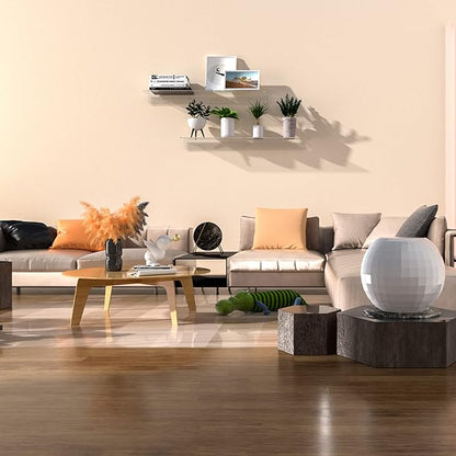 Acrylic Wall Shelves 36 24 12 Inches, Clear Floating Shelf for Wall, Wall Mounted Display Shelves for Plants, Radio, Funko Pop, Stuffed Animal, Books, Clock, Cosmetics, Toiletries