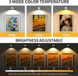 6 Pack Picture Lights for Wall, Rechargeable Battery Operated Wall Lights, Picture Frame Lights with 3 Lighting Modes, Wireless Magnetic Painting Light with Remote Control Timer, (White)