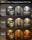 Picture Lights for Wall, 2000mAh Rechargeable Magnetic Poster Lights with Remote, 3 Color Temps & RGB Dimmable Timer, Wall Decor Light for Art Display, Frame (6 Pack)