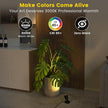 Mini LED Spotlight with Remote Control, Dimmable Small Spot Lights Indoor Plug in, Wired Spotlights for Displays Art Model Plant Picture (Warm White-2 Lights in 1 Plug)