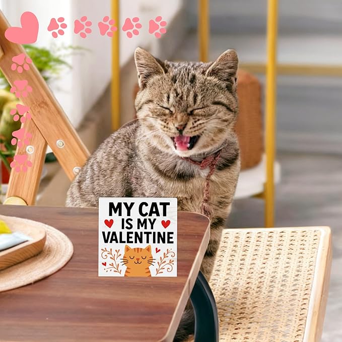 Cat Desk Decor, Gifts for Cats Lover Women Men Pet Parent, Funny Cats Home Office Table Sign Decoration for Room Shelf Station Counter, My Cat Is My Valentine