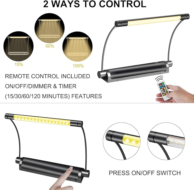 LUXSWAY Picture Light - Battery Powered, Wireless Remote Control, Rotatable Art Display Light, Dimmable for Picture Artwork and Mirror