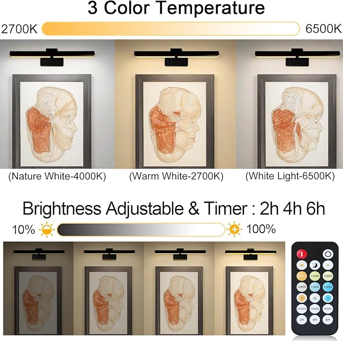 Picture Light for Paintings Plug in, 16" 6W Remote Control Wall lights for Painting, 3 Color Temperatures Paintings Light Dimmable Art Lights for Display, Wall, Artwork, Gallery (Black, 2 Pack)