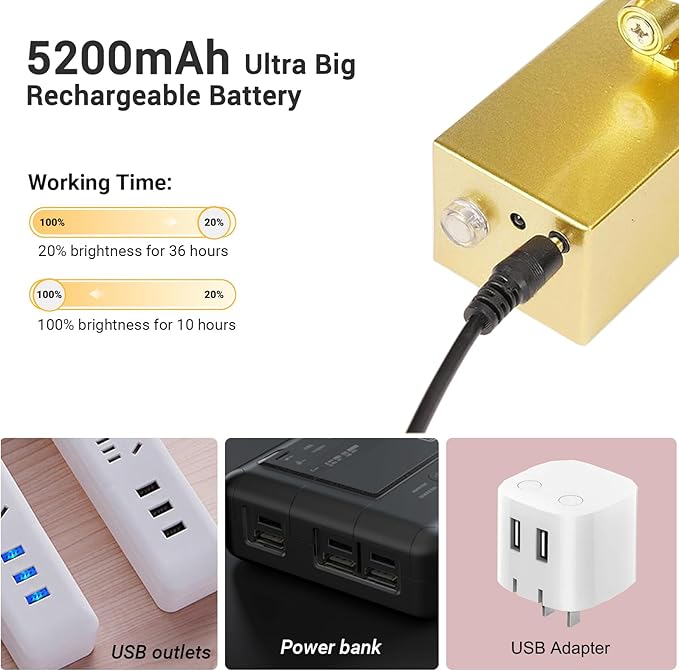 Mocalido 2 Pack Gold Picture Light Battery Operated for Wall 16in, 6 Colors Wireless LED Art Light for Painting with Remote, 5200mAh Dimmable Frame Lights for Gallery Library