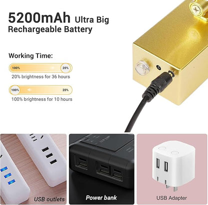 Mocalido 2 Pack Gold Picture Light Battery Operated for Wall 16in, 6 Colors Wireless LED Art Light for Painting with Remote, 5200mAh Dimmable Frame Lights for Gallery Library