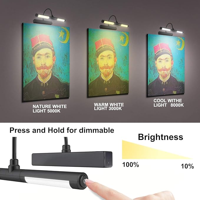 LUXSWAY Picture Lights for Paintings,Rechargeable Battery Wireless Art Light with Remote Control,Dimmable and Timer Off Display Lights with Rotatable Light Tube for Portrait,Dart Board,Gallery