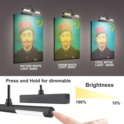 LUXSWAY Picture Lights for Paintings,Rechargeable Battery Wireless Art Light with Remote Control,Dimmable and Timer Off Display Lights with Rotatable Light Tube for Portrait,Dart Board,Gallery
