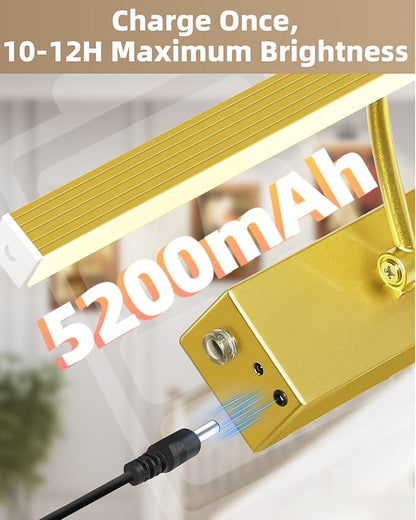 4Pack Rechargeable Picture Light, 5200mAh Brass Battery Operated Picture Lights for Wall with Remote Control, 300LM 3000K Warm White Light 16" Metal Dimmable Picture Light for Painting & Artwork