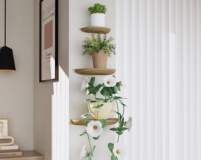 Solid Wood Half Round Floating Wall Shelves | Elegant Floating Shelves, Elevate Your Space. Perfect for Living Rooms, Bathrooms, Bedrooms, Offices, Children's Rooms Light Brown