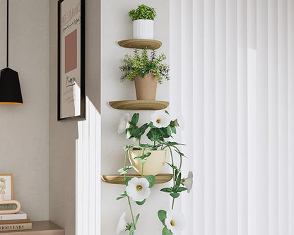 Solid Wood Half Round Floating Wall Shelves | Elegant Floating Shelves, Elevate Your Space. Perfect for Living Rooms, Bathrooms, Bedrooms, Offices, Children's Rooms Light Brown