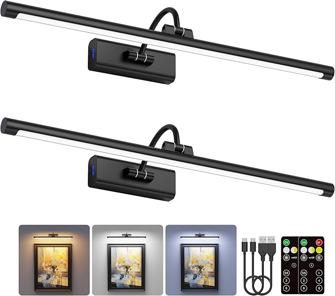 2 Pack Light for Pictures on Wall Black 8000mAh - 24