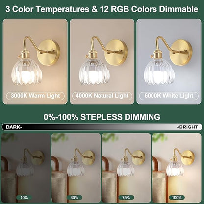 Vintage Battery Operated Wall Sconce Set of 2,Rechargeable Wall Sconces with RGB Dimmable Remote Control, Wireless Brass Transparent Glass Lampshade Fixtures for Bedroom Living Room