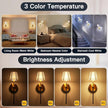 Battery Operated Wall Sconces Set of 2, Wireless Wall Sconce with Remote Dimmable Timer, Rechargeable 5200mAh, Cordless Wall Light Gold for Bedroom Living Room, Hallway, Light Decor