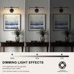 Hardwired 15.7 Inch 7W Black Picture Lights for Wall LED Picture Frame Light Dimmable Painting Lights for Wall Portrait Artwork Warm White