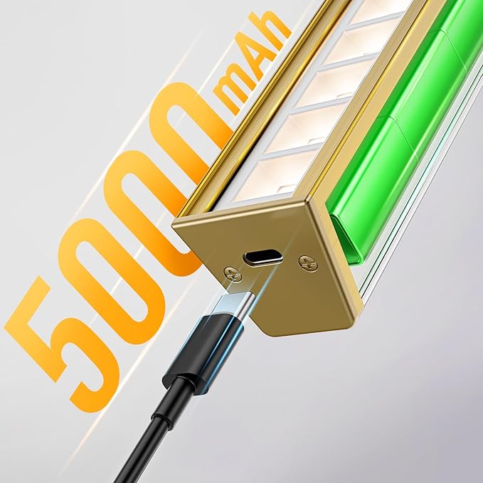Picture Lights for Wall, Brushed Gold Battery Operated Picture Light 16in Art Light CCT Dimmable Recharging Battery Wall Light with Remote Control for Living Room Gallery 2PCS