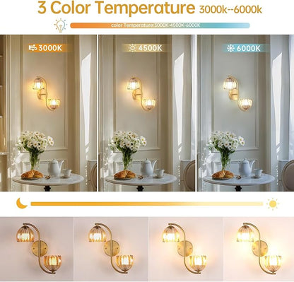 Battery Operated Wall Sconce, 2-Lights Vinatge Brass Wall Lighting Up and Down with Amber Tulip Shade for Living Room, Bedroom