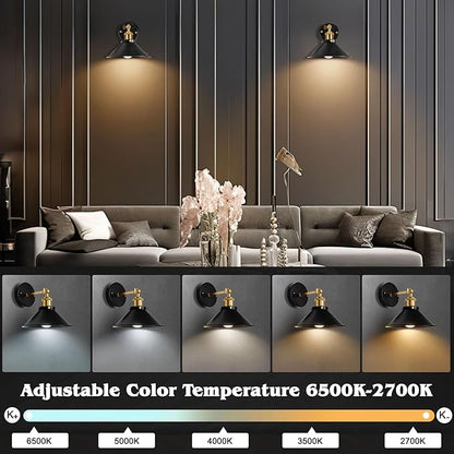 Battery Operated Wall Sconces Set, Wireless Wall Sconces with Dimmable Remote Control, USB Charging, Warm White/Natural White/Daylight/RGB, Wall Lighting for Bedroom, Living Room, Entryway